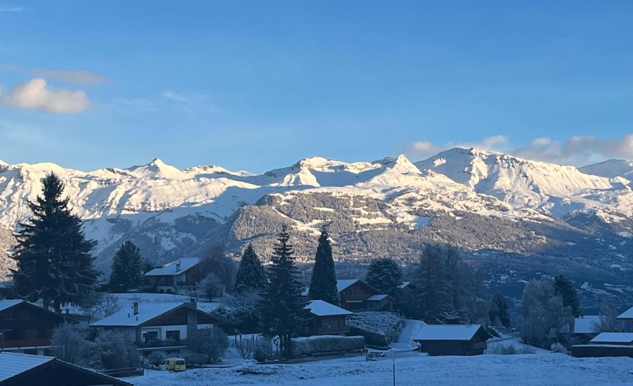 Au Village De Nax, Ravissant 2 Pieces Et Demi Avec Terrasse *